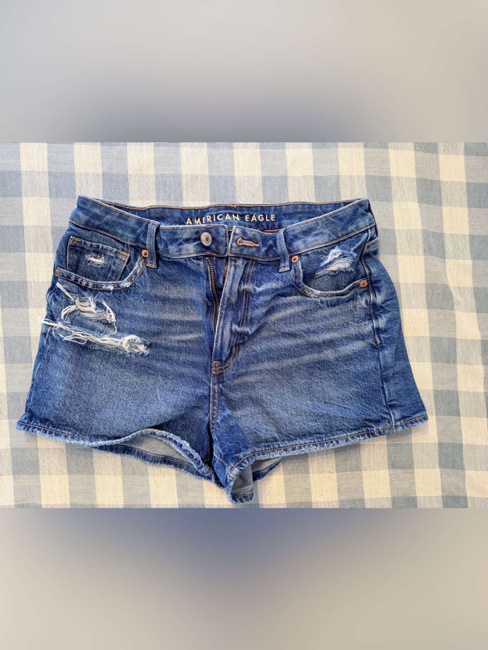 American Eagle Women's Distressed Dark Blue Strigid Jean Shorts